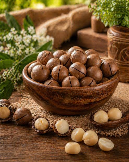 MACADAMIA INSHELL SALTED
