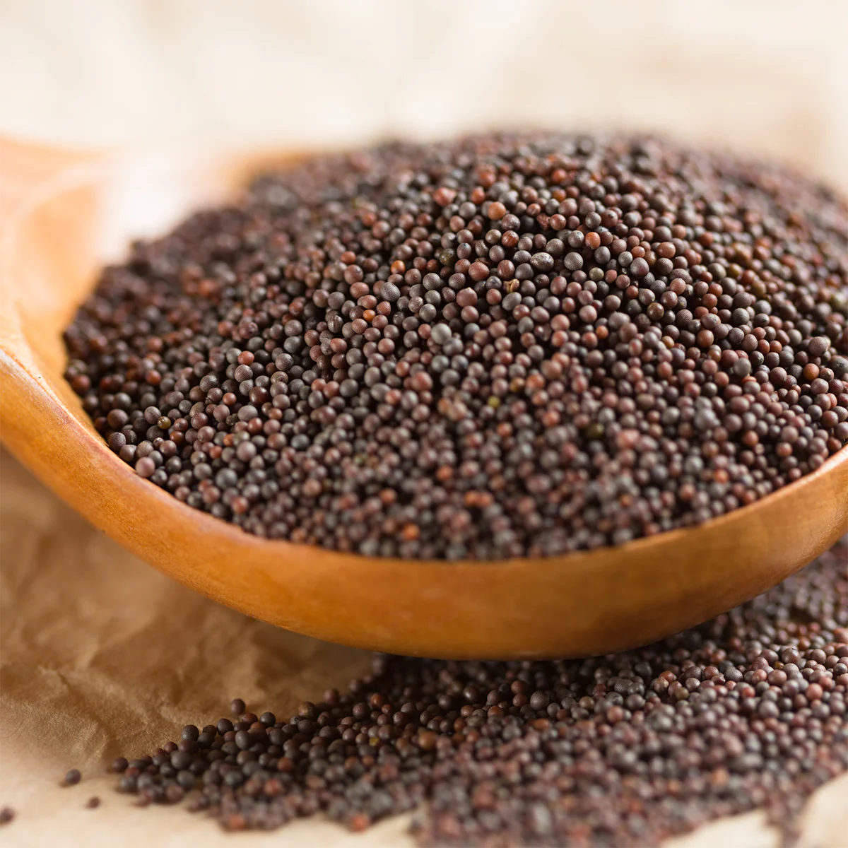 Mustard/Rai Seeds/Kadugu